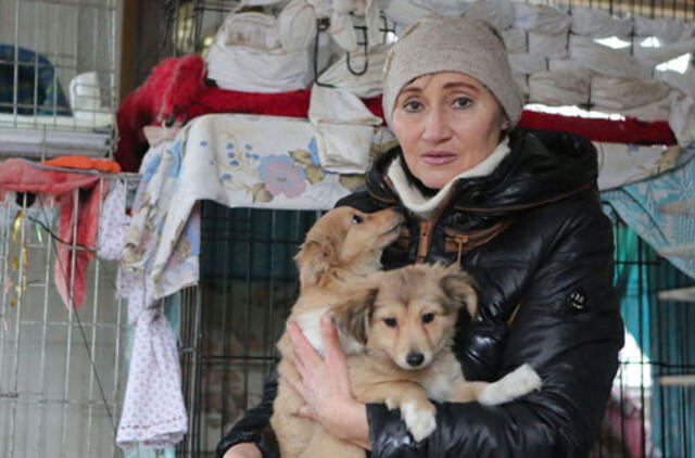 Pasitinkant Šuns metus - beglobių keturkojų rekordas