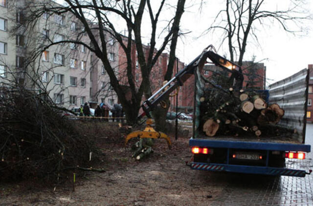 Miesto aplinka: triukšmas - per didelis, želdiniai - prižiūrimi blogai