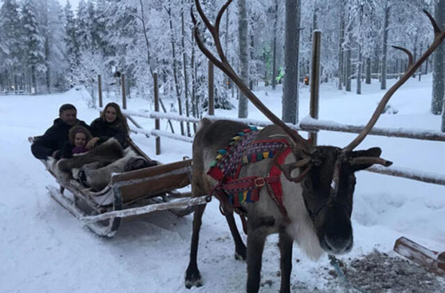 Naujųjų sutikimas - visiems skoniams