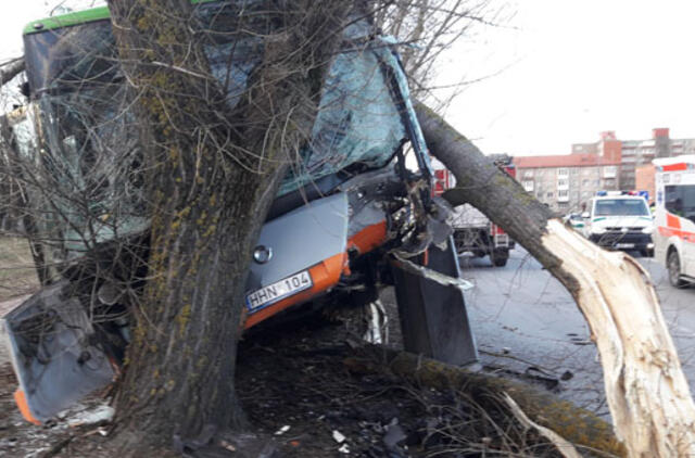 Minijos gatvėje autobusas trenkėsi į medį