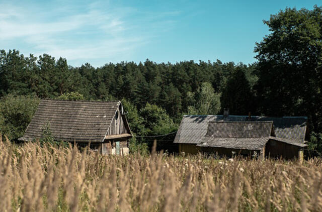 Norima sugriežtinti buvusių sodybų privačiame miške atstatymą