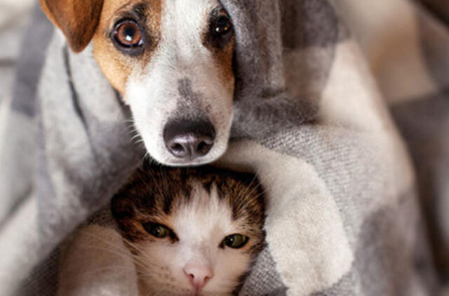 Orai keisis nedaug – šaltis neskubės trauktis