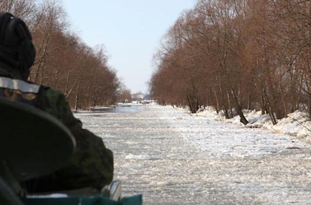 Prie Rusnės iškirs beveik 300 medžių