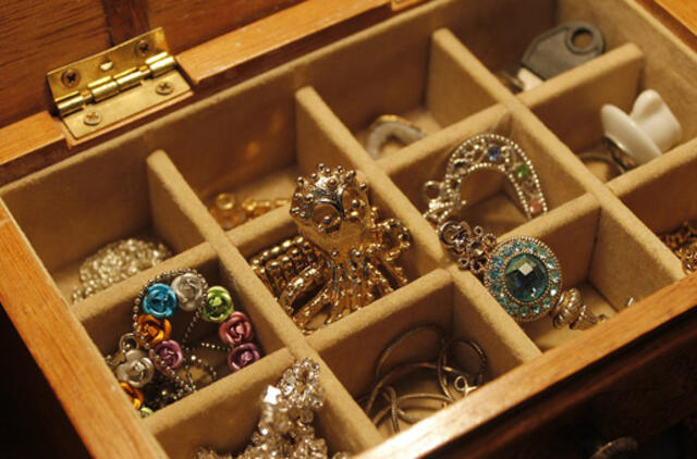 Vienos nakties nuotykis baigėsi vagyste