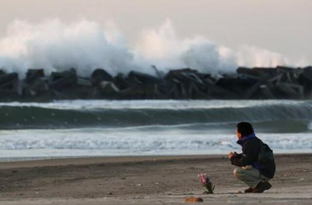 Japonija mini septintąsias Fukušimos branduolinės avarijos metines