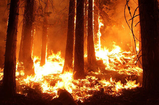 Kalnų dviratininkas Austrijoje netyčia sukėlė miško gaisrą