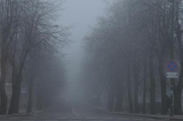 Klaipėdoje rytą buvo dulksna, dieną daug kur palis