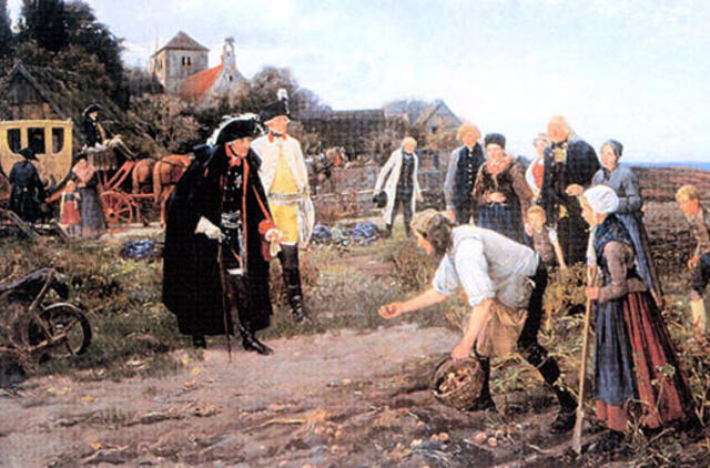 Nesodinsi bulvių - neteksi ausų