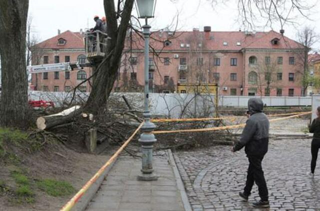 Medžių gynėjus vaikė su policija