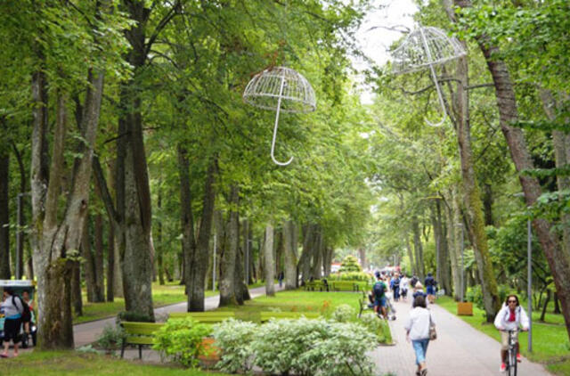 Palanga ruošiasi sezonui: sužydės 80 000 gėlių