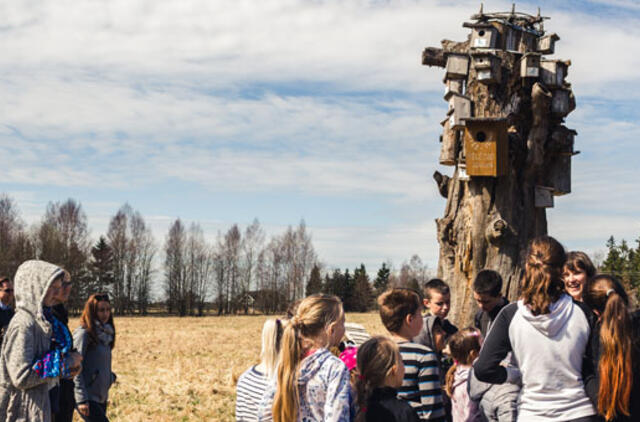 Vaikų pagaminti viešbučiai lauks pirmųjų gyventojų – bičių, vapsvų ir kitų vabzdžių