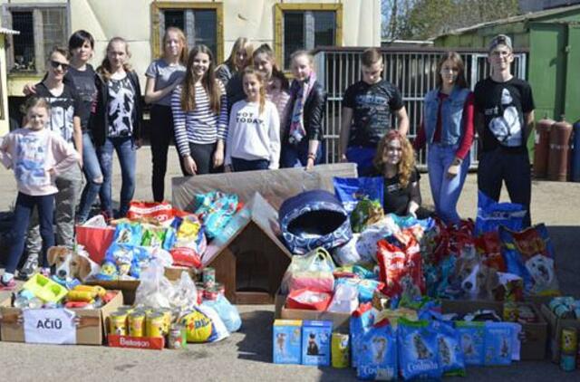 Meile ir darbais keturkojams dalinosi gimnazistai