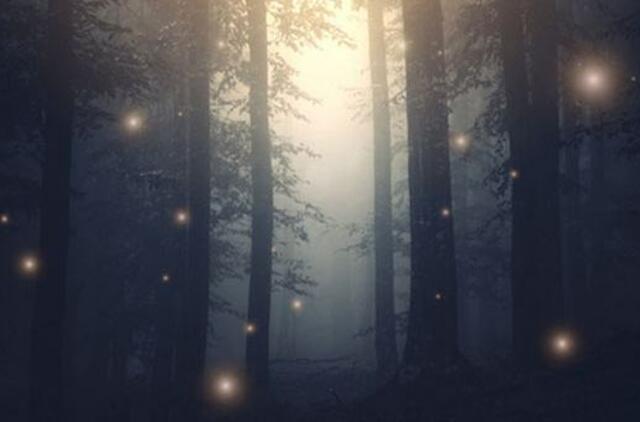 Penktadienio horoskopas 12-ai zodiako ženklų