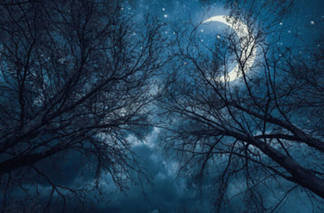 Pirmadienio horoskopas 12-ai zodiako ženklų