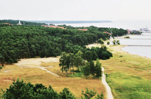 Svarsto ar uždrausti lankytis Kuršių nerijos miškuose