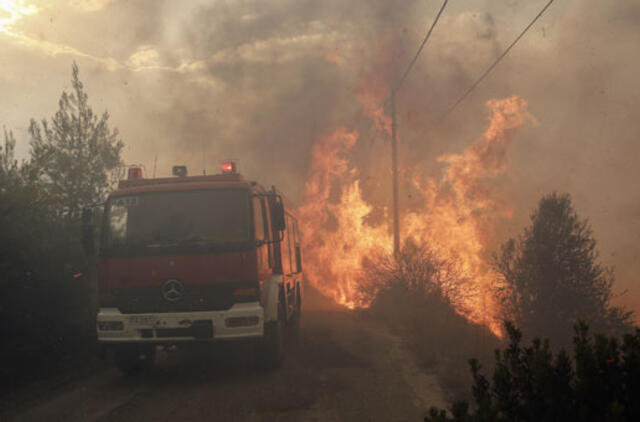 Graikija: miško gaisrų aukų skaičius išaugo iki 79