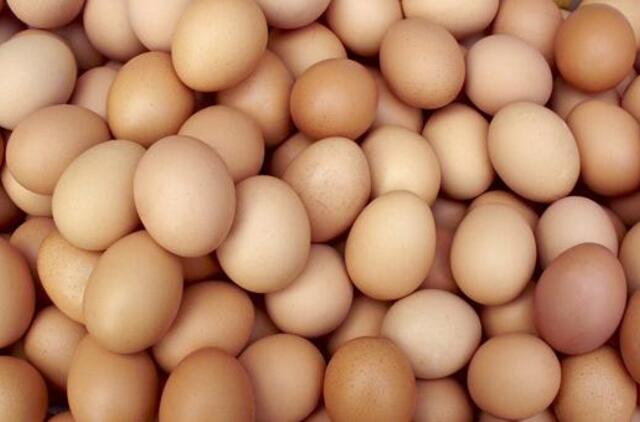 Kiaušinių pardavimas ir eksportas augo, o kainos mažėjo