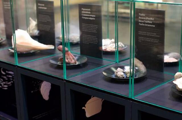 Klaipėdos „Akropolyje“ Jūrų muziejus kviečia aplankyti.... Jūros stalą