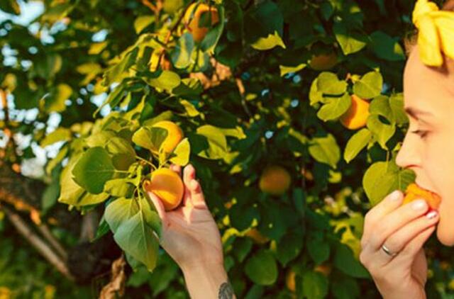 Sekmadienio horoskopas 12-ai zodiako ženklų