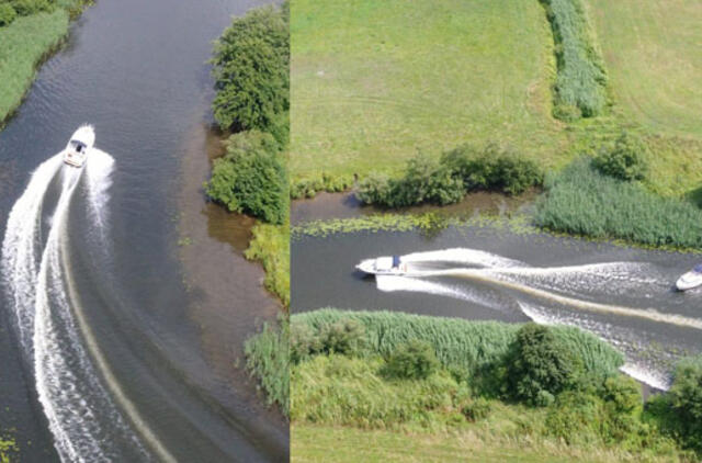 Vandens kelių gaideliai siaučia Pamaryje