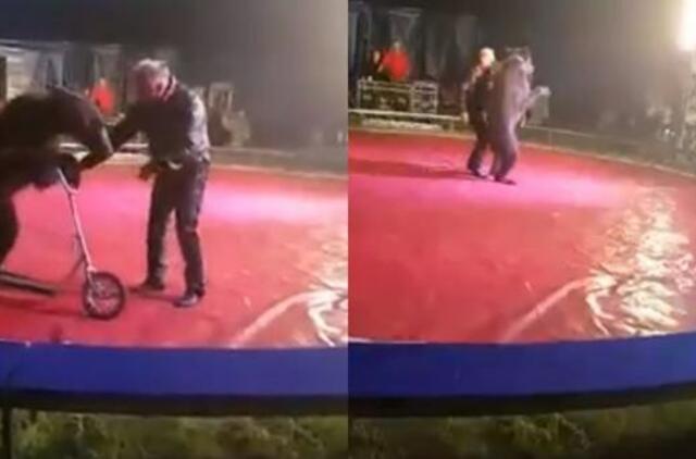 VIP cirkas sulaukė specialistų patikrinimų