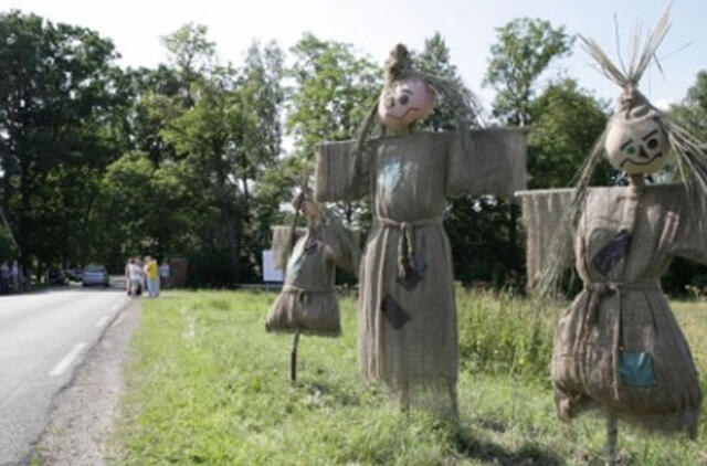 Kaip atgaivinti nykstančią mūsų provinciją ir kaimą?