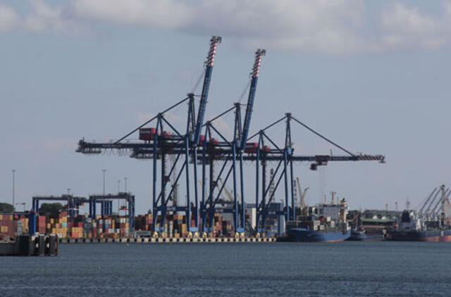 Kas tos mėlynosios "žirafos" uoste?