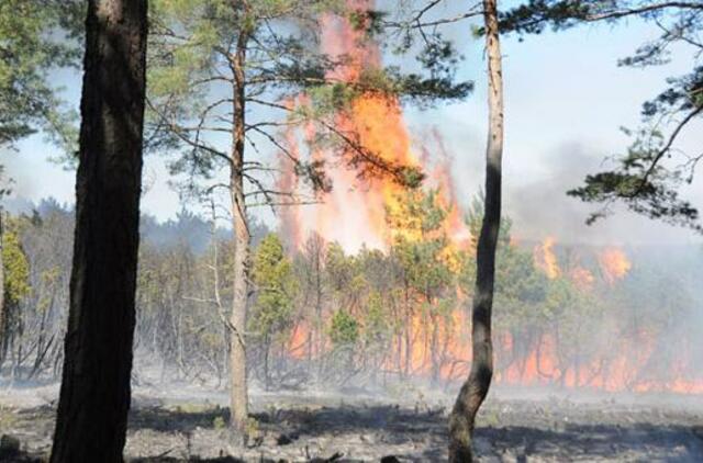 Lietus gelbėja tik pajūrį
