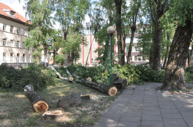 Vydūno skvere jau kertami medžiai