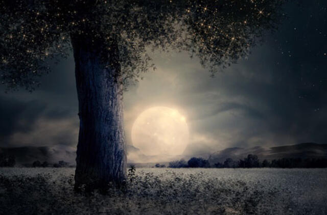 Penktadienio horoskopas 12-ai zodiako ženklų