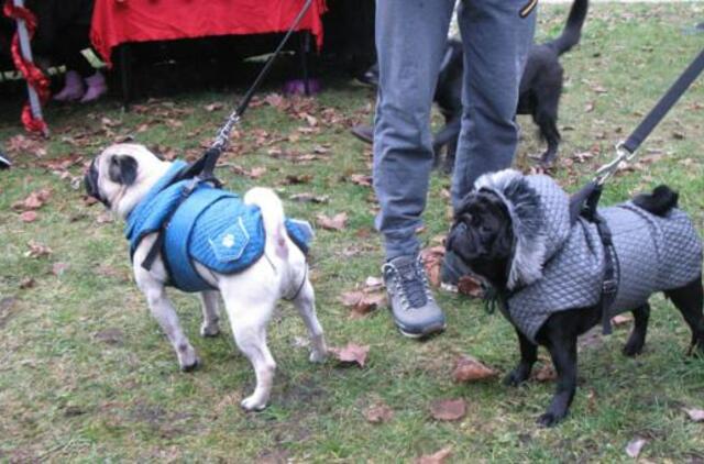 Tikslinėje teritorijoje nori aikštelių keturkojams