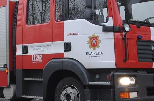 Ugniagesiai gelbėtojai kaip visada - patikimiausi