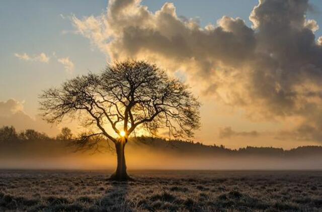 Antradienio horoskopas 12-ai zodiako ženklų