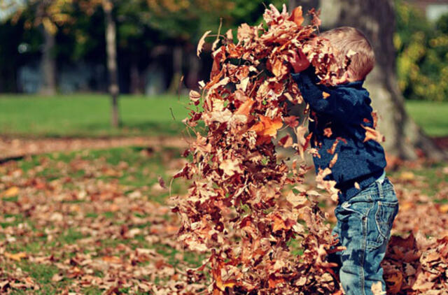 Antsvorio stigma: dėl nutukimo iš vaikų tyčiojasi ir tėvai, o ypač - mamos