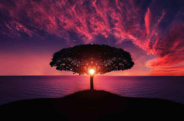 Ketvirtadienio horoskopas 12-ai zodiako ženklų