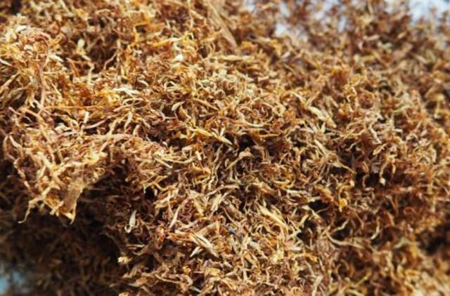 Lietuva tampa nelegalių tabako perdirbėjų kraštu