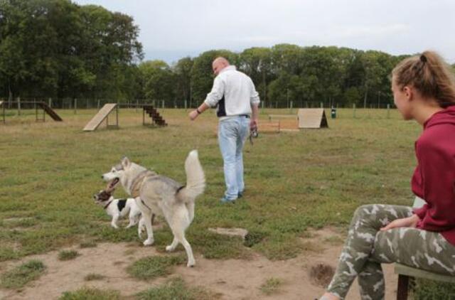 Šunų aikštelės Klaipėdoje: per mažai ir su trūkumais