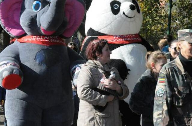 Uostamiesčio gyvūnai sulaukė palaiminimo