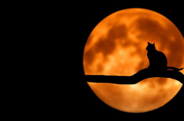 Penktadienio horoskopas 12-ai zodiako ženklų