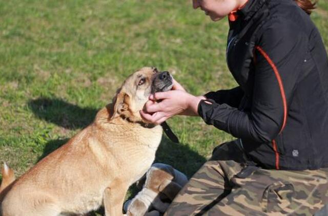 Šiandien namų ieško: Džona