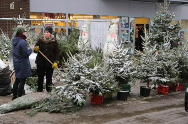 Antradienio horoskopas 12-ai zodiako ženklų