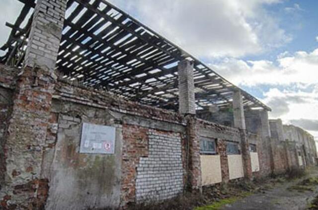 Apsileidėlių šeimininkų Kretingoje nemažėja