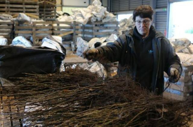 Gyvenimas po urėdijų reformos tęsiasi: problemas bandoma spręsti