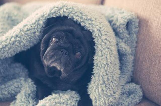 Šeštadienio horoskopas 12-ai zodiako ženklų