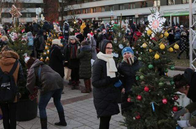 Šimtu eglučių papuošta Klaipėda įžiebs pagrindinę žaliaskarę