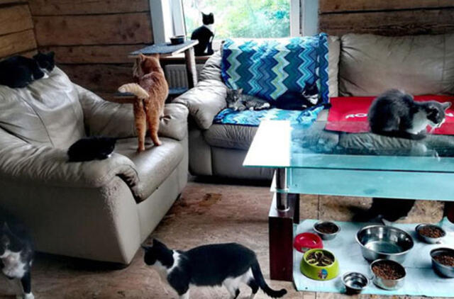 Gyvūnų mylėtoja vos neatsidūrė gatvėje