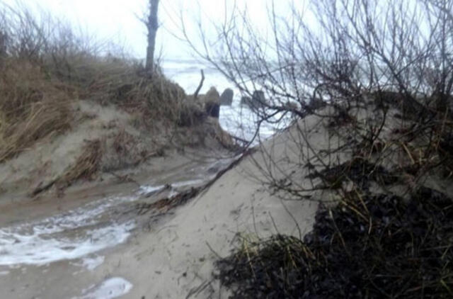 Kuršių nerijai gresia salos likimas