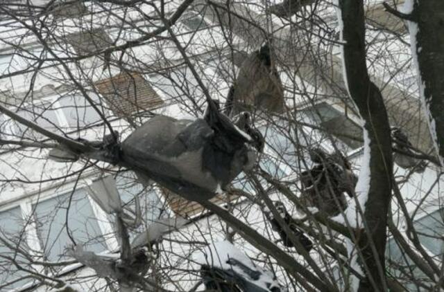 Ant medžių pakibusios šiukšlės atskleidė tamsiąją miesto pusę
