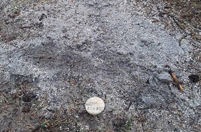 Prie Olando Kepurės rasti žmogaus pelenai