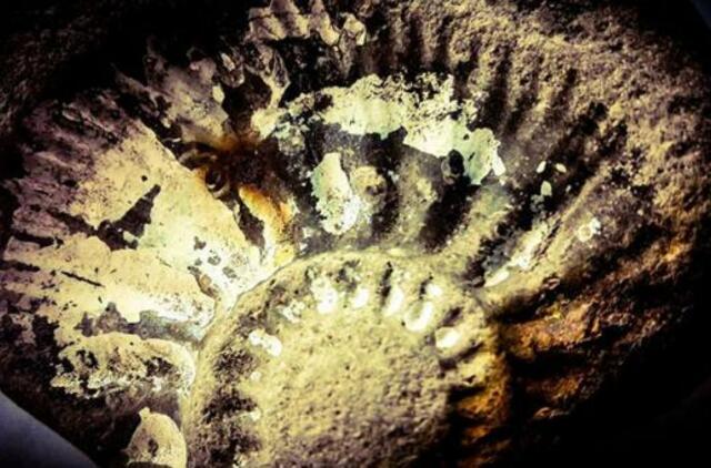 Reto radinio amžius Lietuvos pajūryje užgniaužia kvapą